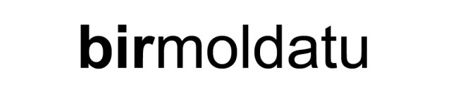 logo logo birmoldatu